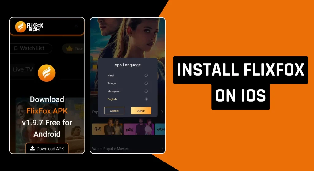Install Flixfox on iOS